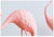 Flamingo Fabulous estirado