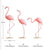 Flamingo Fabulous estirado